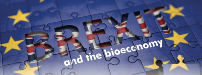 Brexit and Bioeconomy