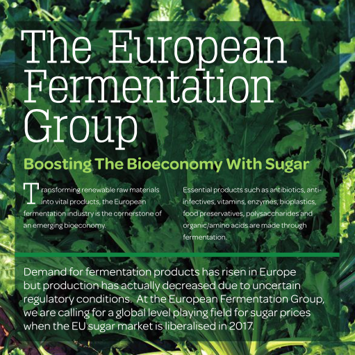 EFG Brochure 2015 - Boosting the Bioeconomy with Sugar