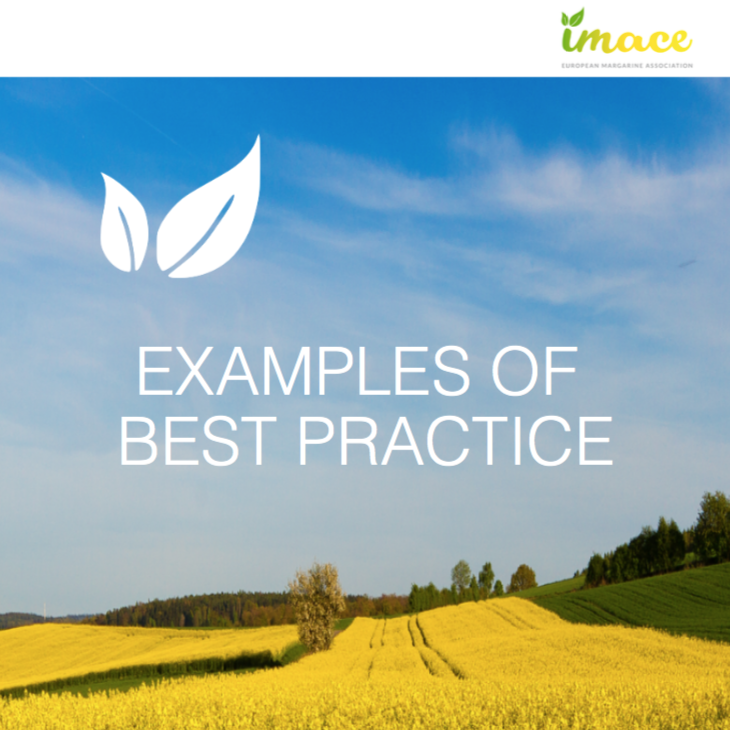 IMACE Examples of Best Practice 2017